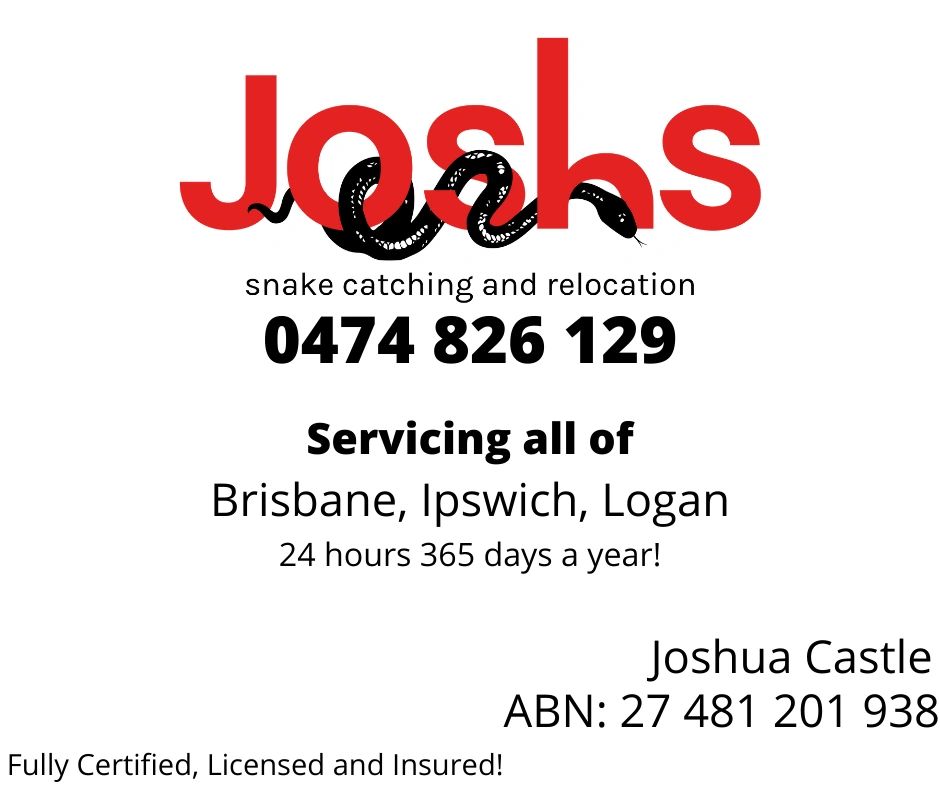 Brisbane snake catcher price